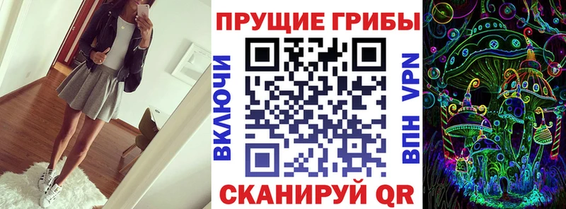 Псилоцибиновые грибы мухоморы  закладка  Никольск 